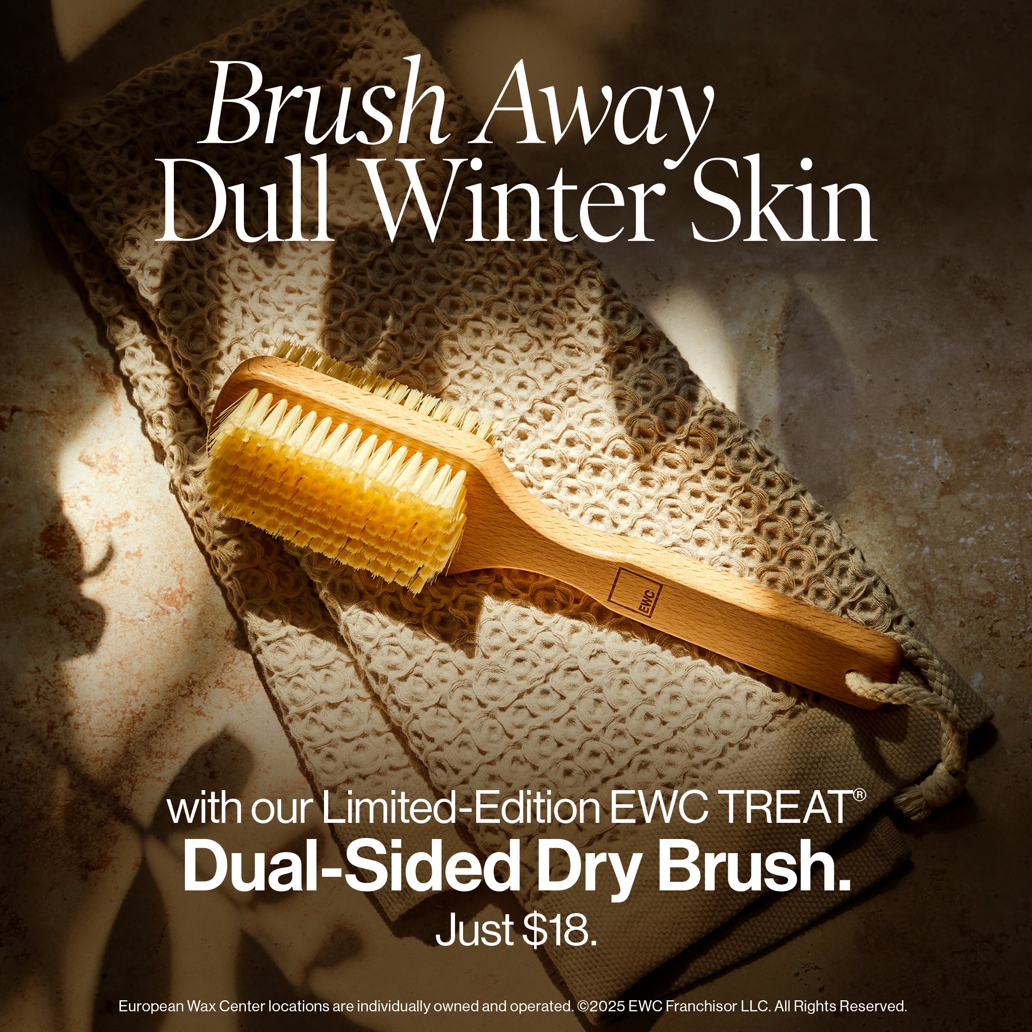 Dual-Sided Dry Brush - Image 6